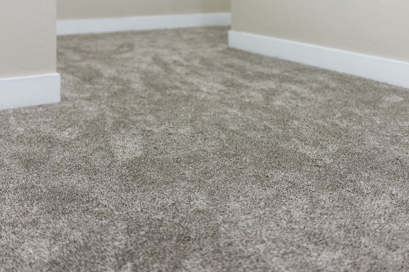 Finished Carpet Installation